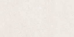 sena light gray 25x50