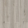 asturia light 20x120