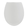 Arizona1