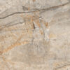 san pe6 12 lp 60x120