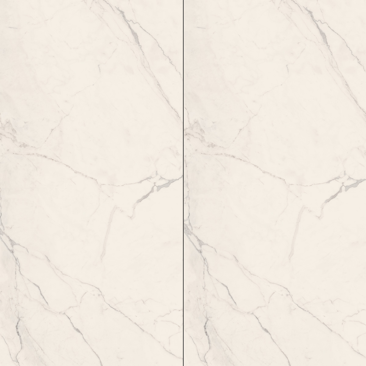 trex6 278 w lp 120x278