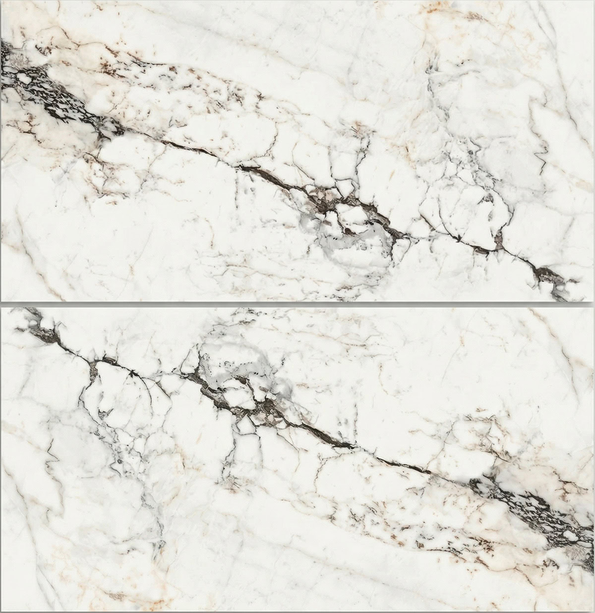 aesthetica pao6 12 rm 60x120