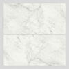 aesthetica cal6 12 lp 60x120
