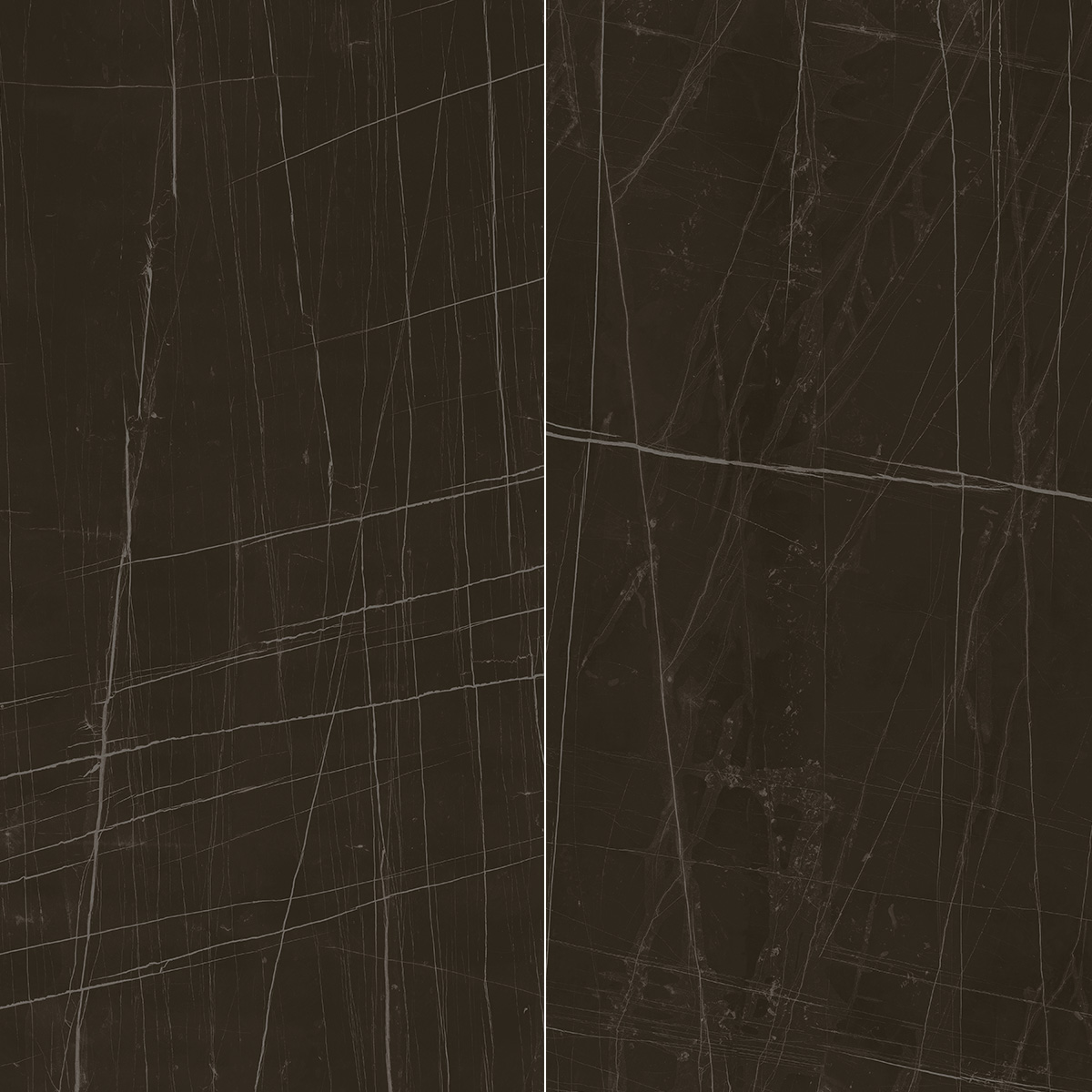 trex6 278 n lp 120x278