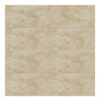 Z8408 lava champagne 30x60