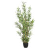 110342-bambus-H126 atmosphera aloe vera u saksiji, 47cm (kopiraj)