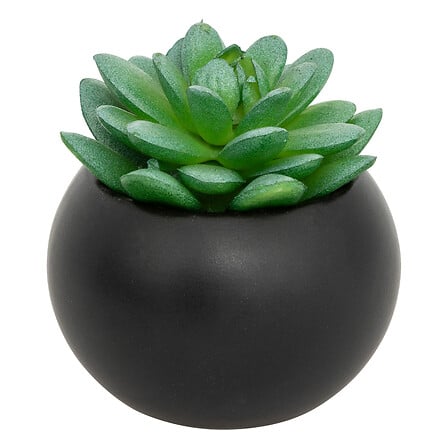 atmosphera cveće u saksiji, 13,5cm