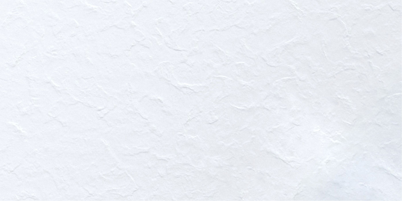 stone bone antislip 60x120