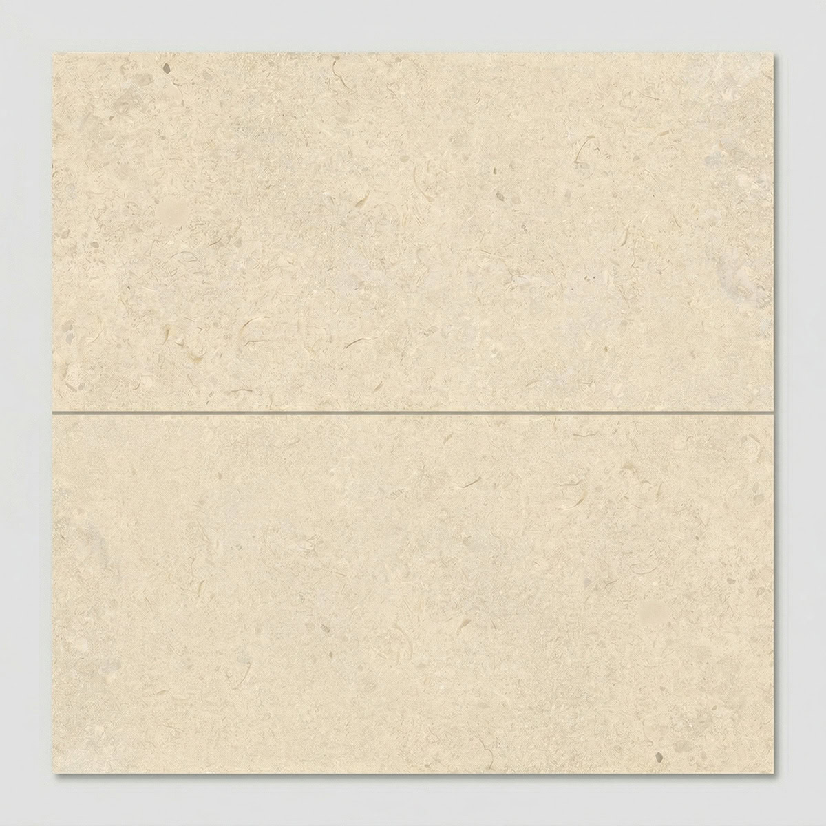 clam shell bone soft matt 60x120