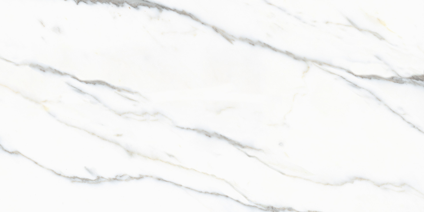 arcadia calacatta ivory rect. 60x120