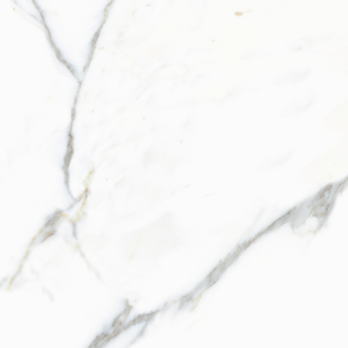 arcadia calacatta ivory rect. 60x60